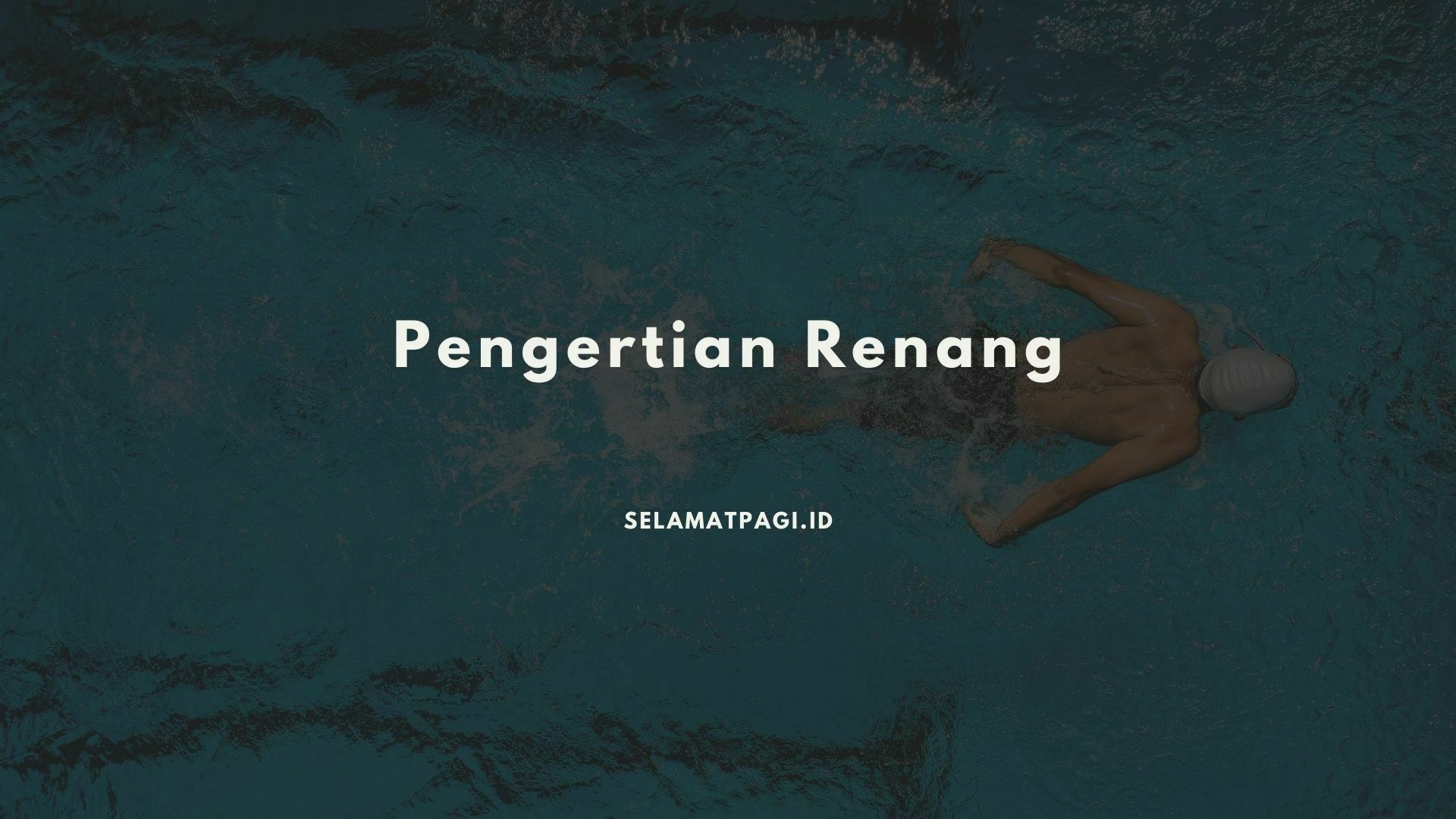 pengertian renang pengertian renang