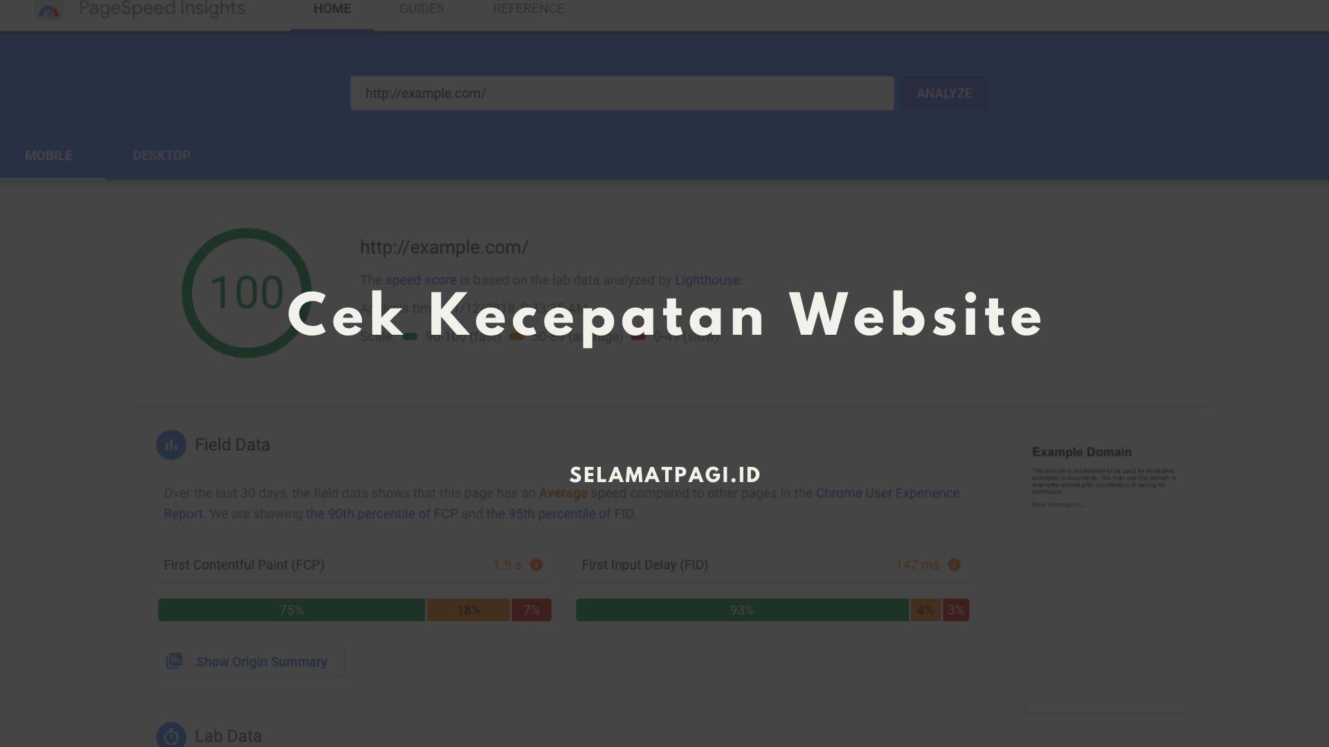 Cek Kecepatan Website